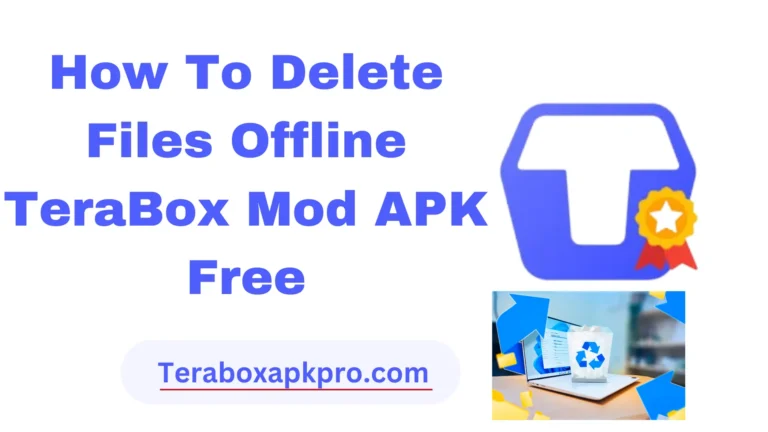 How To Delete Files Offline TeraBox Mod APK Free 2024