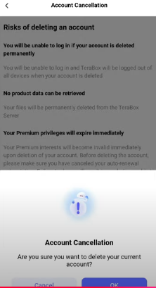 How to Permanently Delete Your TeraBox Account: Step by Step Guide